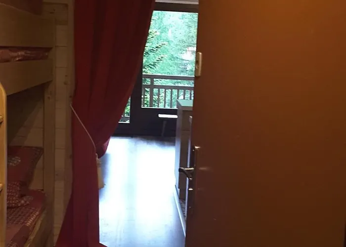 Douillet Aux Deux Alpes * Les Deux Alpes