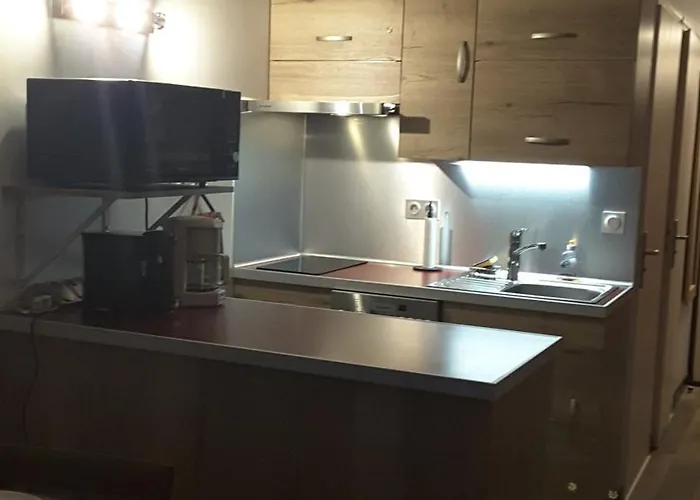 Douillet Aux Deux Alpes Apartament